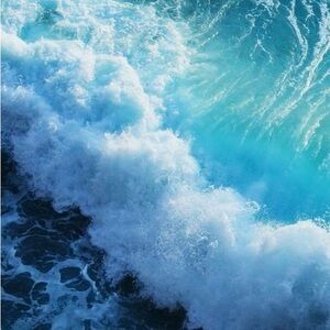 Meet your Posher, Annie